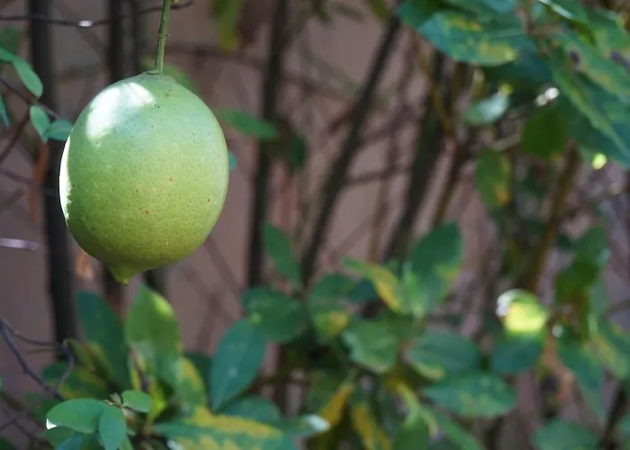 Antica Dimora Horti Luculliani Рим