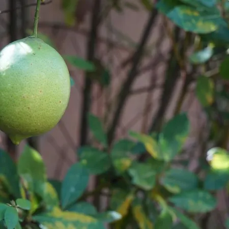 Antica Dimora Horti Luculliani Рим